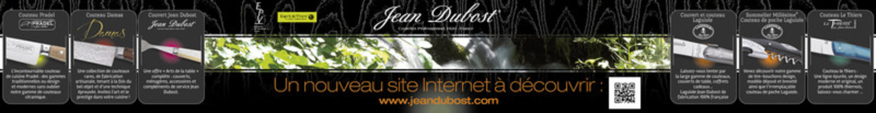 Le site web Jean Dubost plébiscité par la presse !