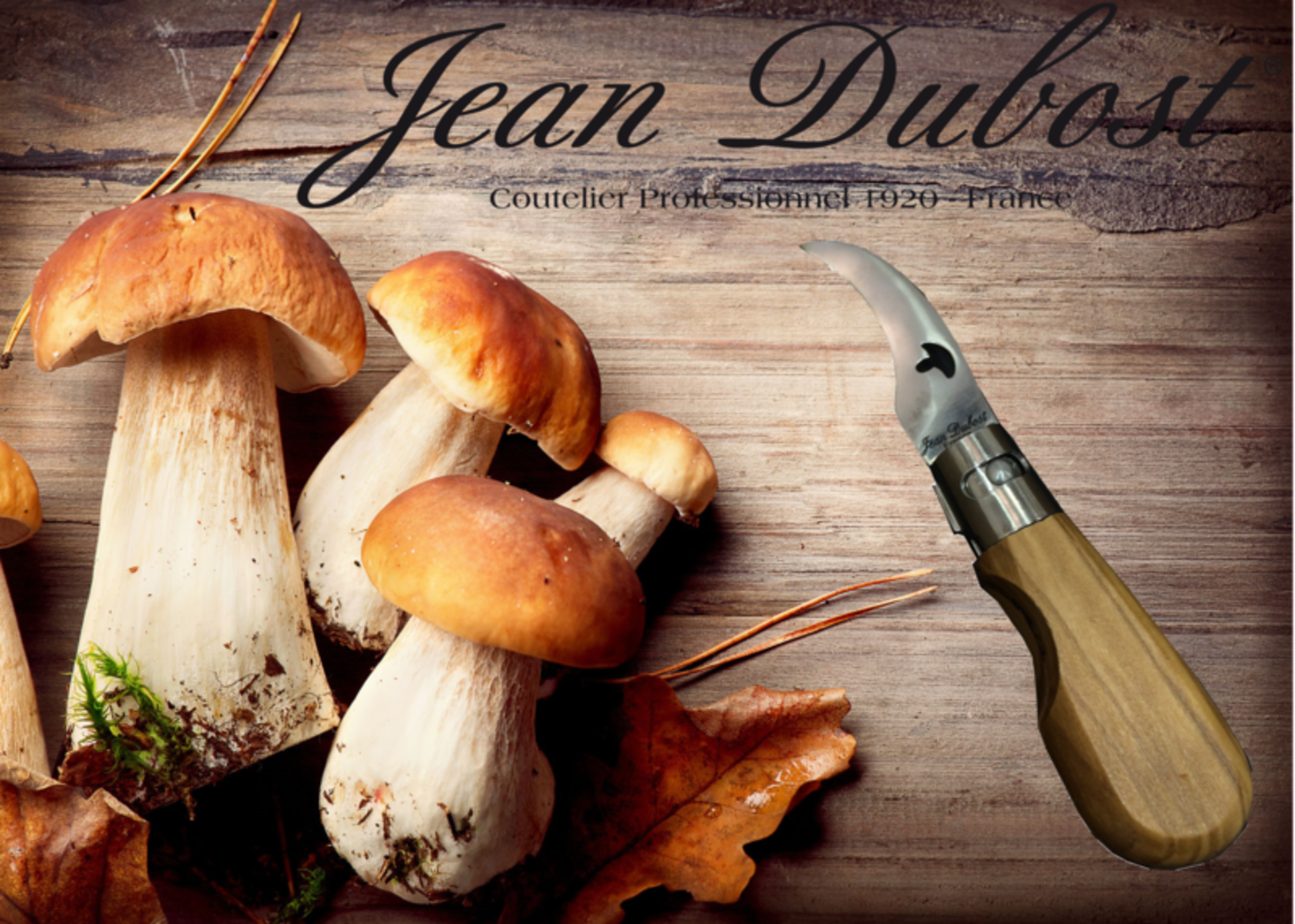 Frérot, couteau à champignon Jean Dubost, Cuisine Actuelle hors série Septembre-Octobre 2017