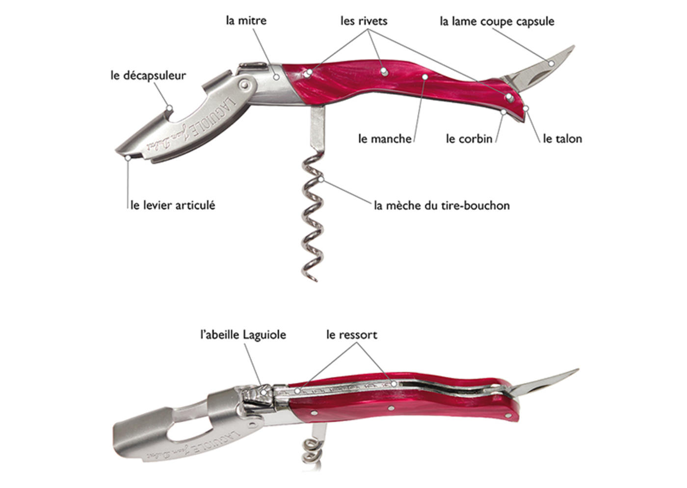 Anatomie du sommelier millésime Laguiole Jean Dubost