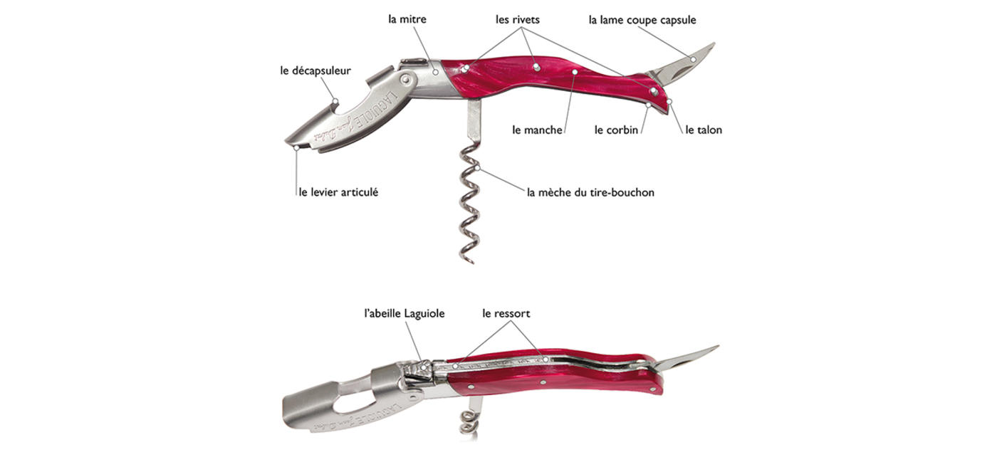 Anatomie du sommelier millésime Laguiole Jean Dubost